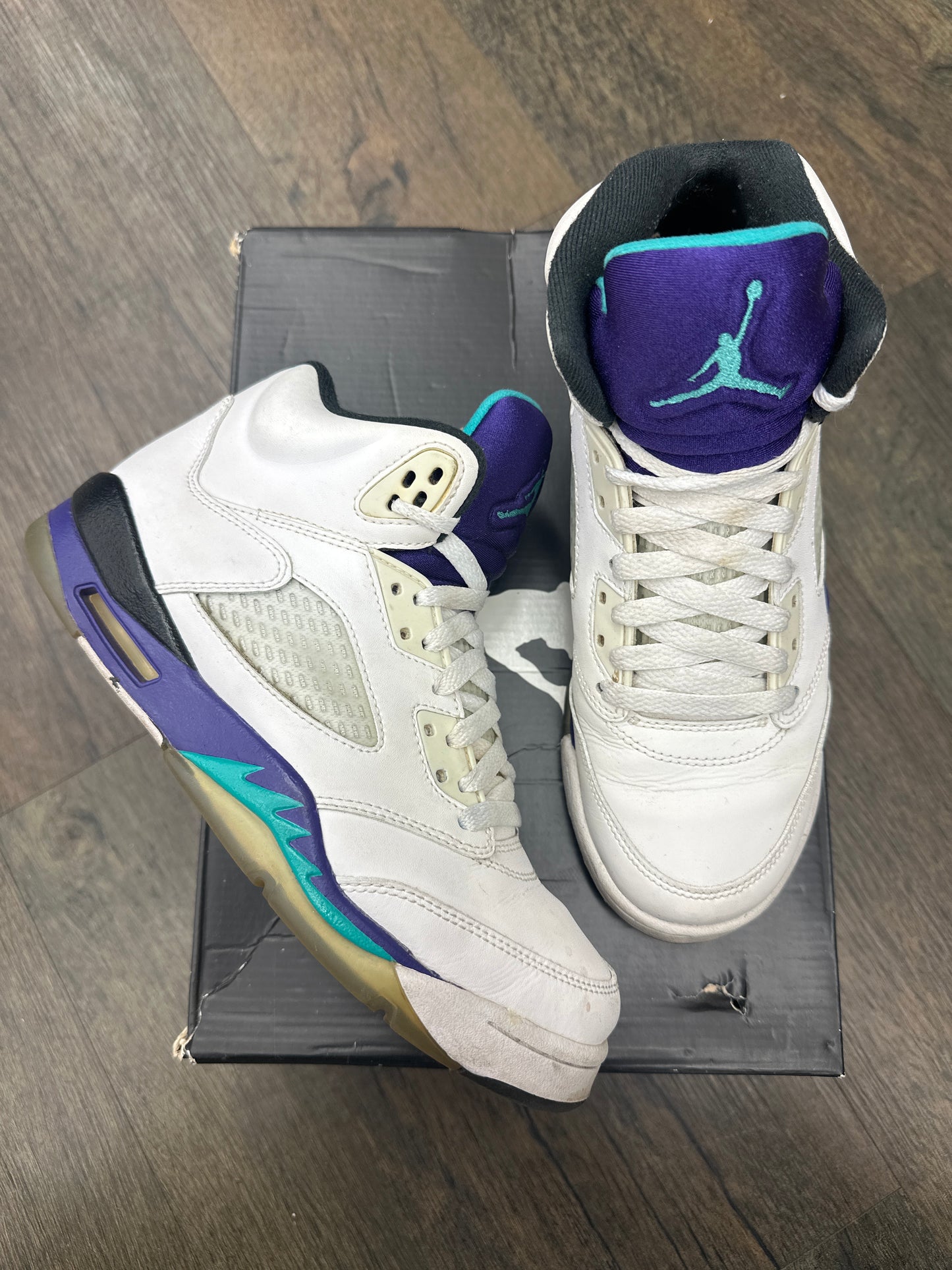 Jordan 5 Grape PRE-OWNED