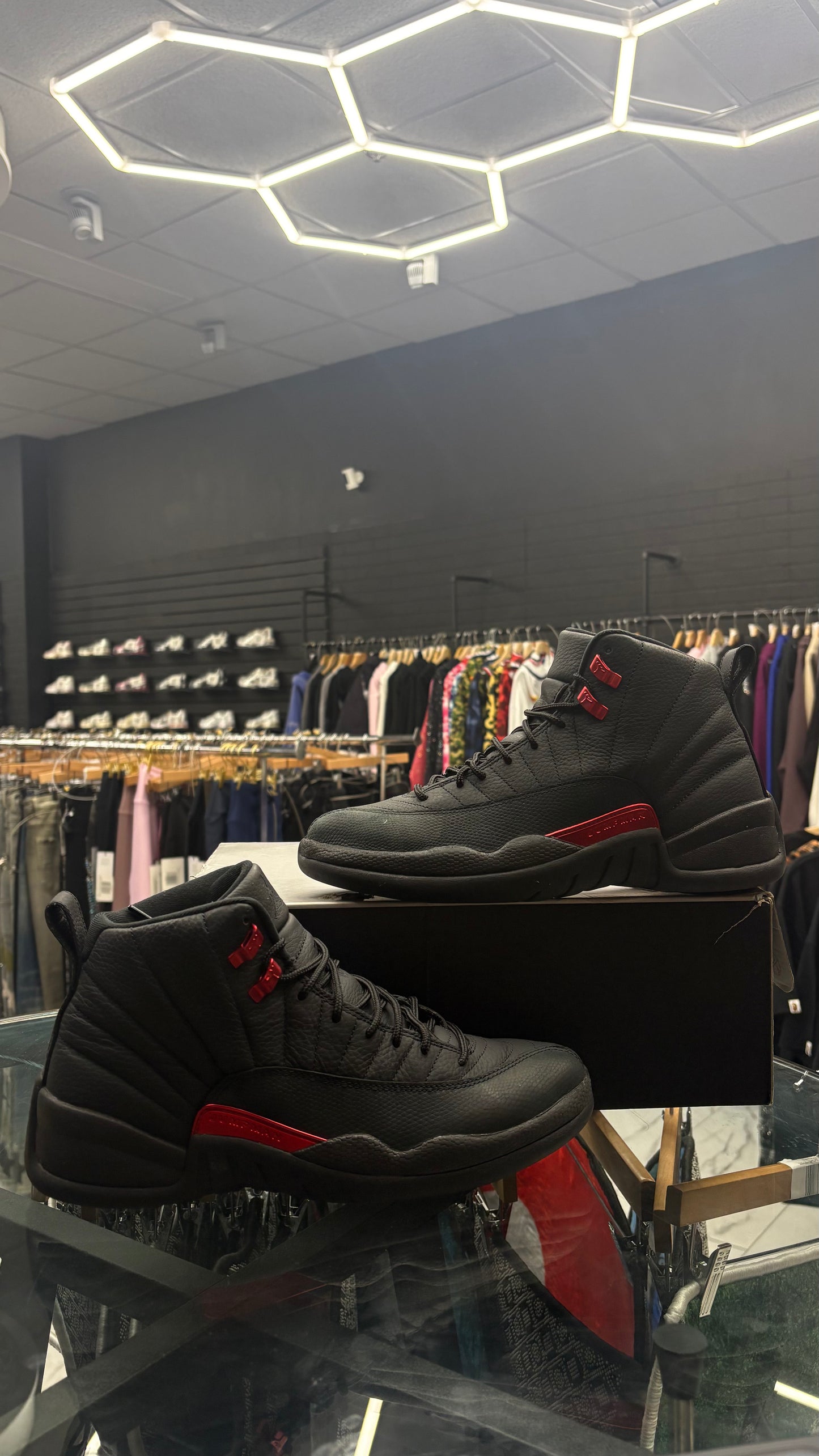 Jordan 12 bloodline USED WITH BOX