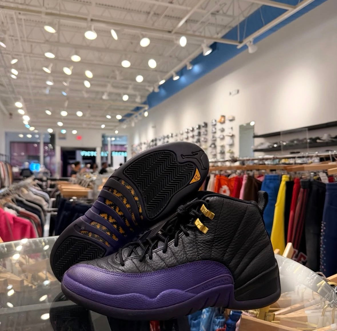 Jordan 12 Field Purple USED NO BOX