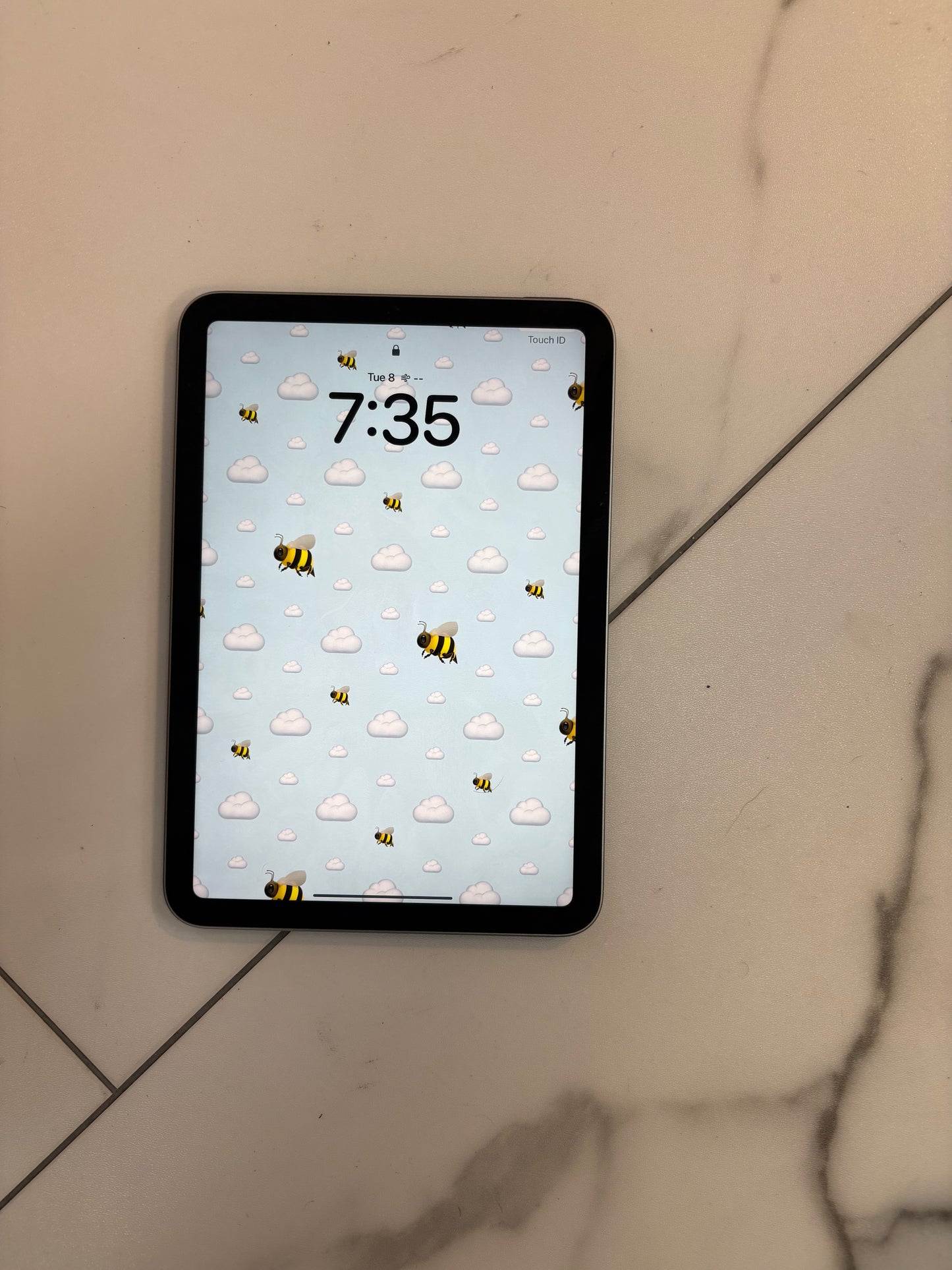 iPad Mini