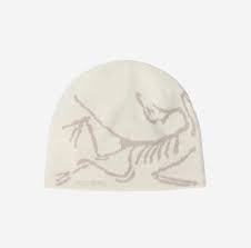 Arcteryx Milk Beanie