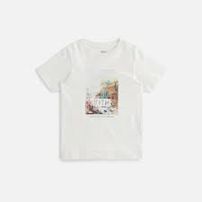 KITH Art Of Nature Vintage Tee