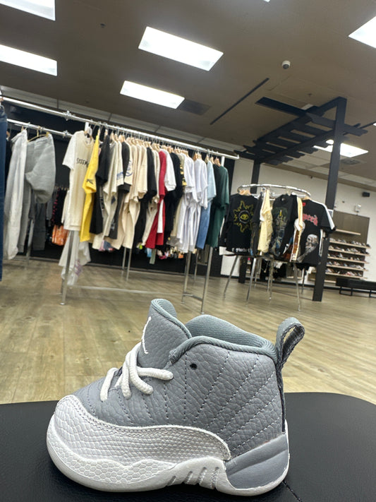 Jordan 12 Stealth TD