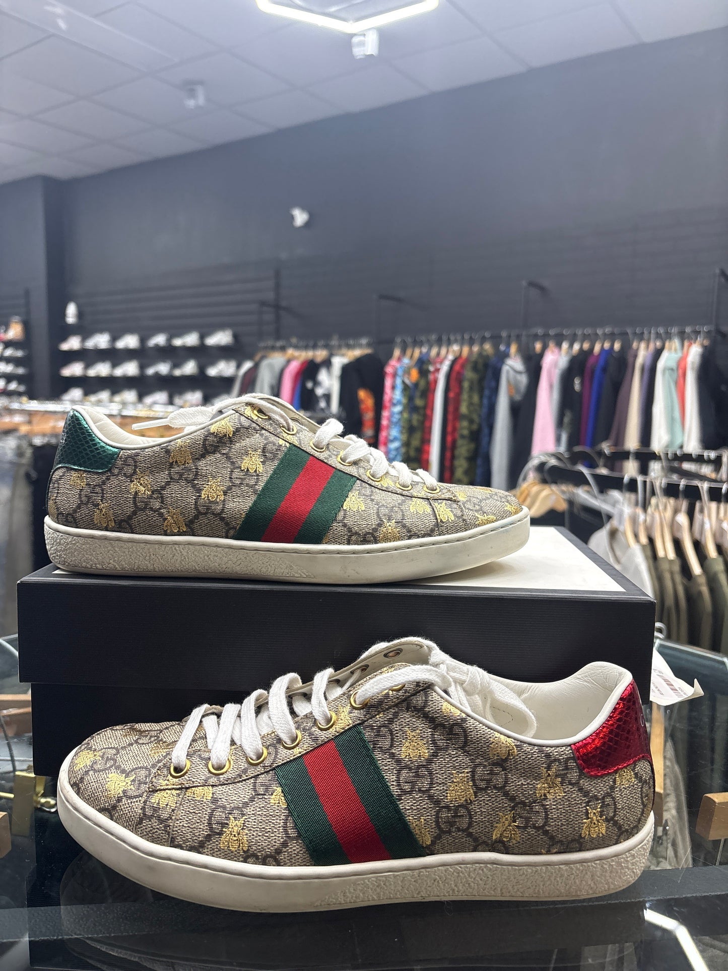 Gucci Ace Supreme Bees USED W BOX