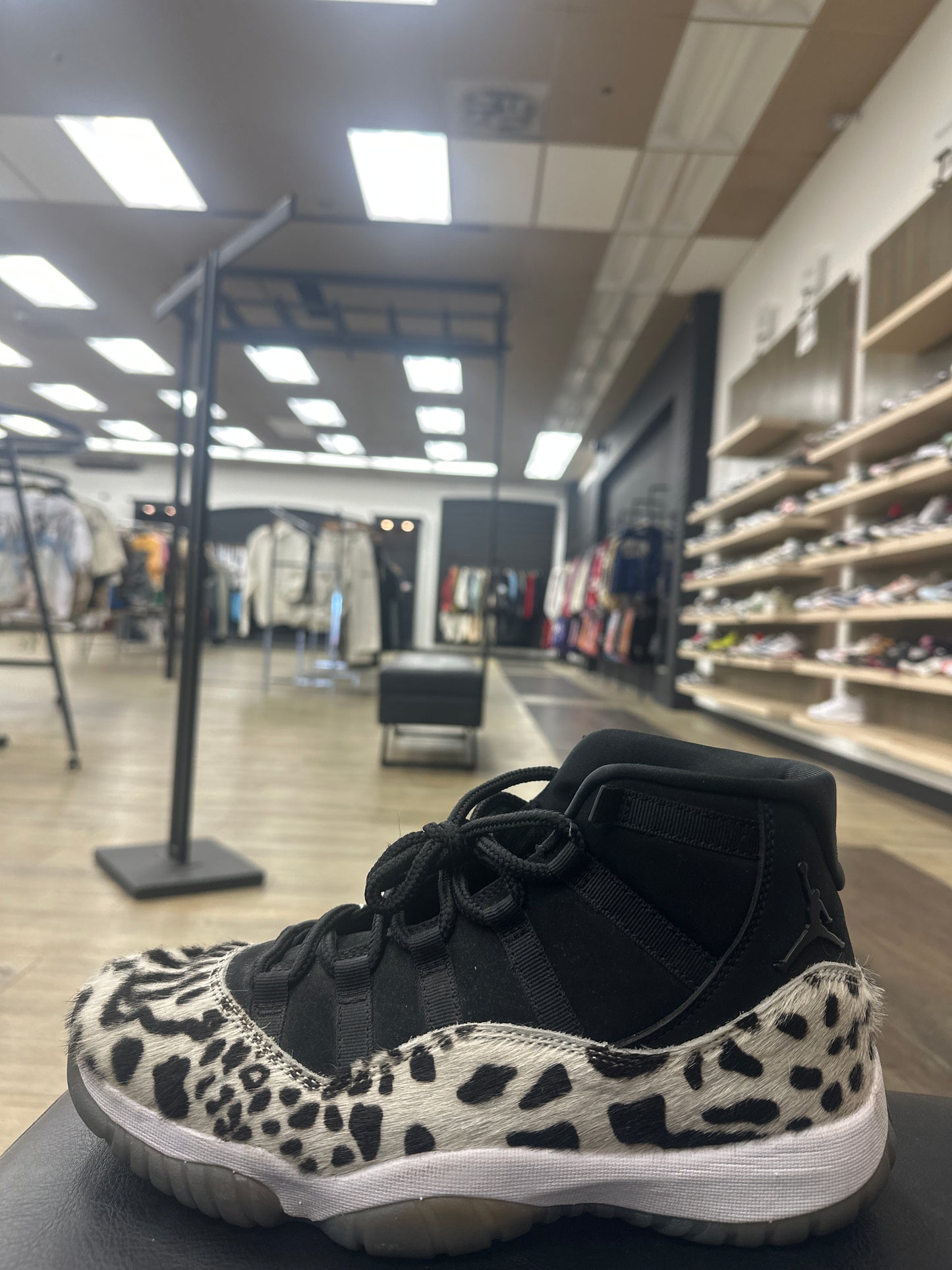 Jordan 11 cheetah print Used No Box