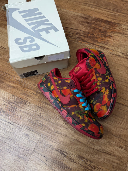 Sb dunk the wizard of oz poppy field pre-owned