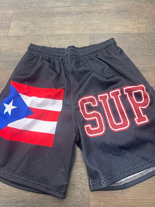 Sup Puerto Rico Flag Shorts