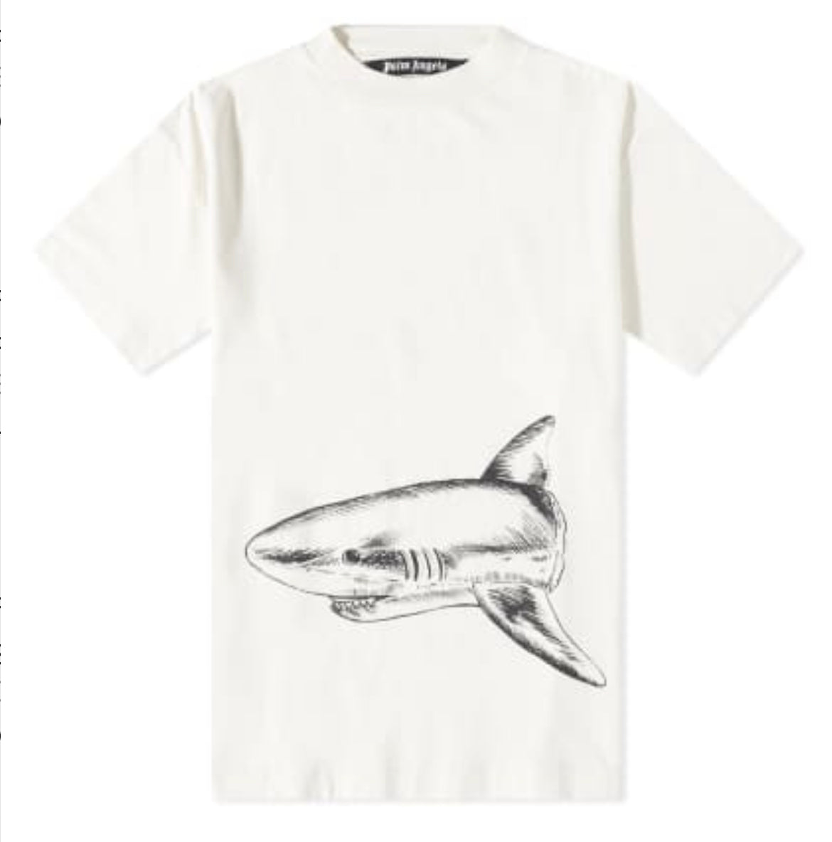 Palm Angel Broke Shark Tee