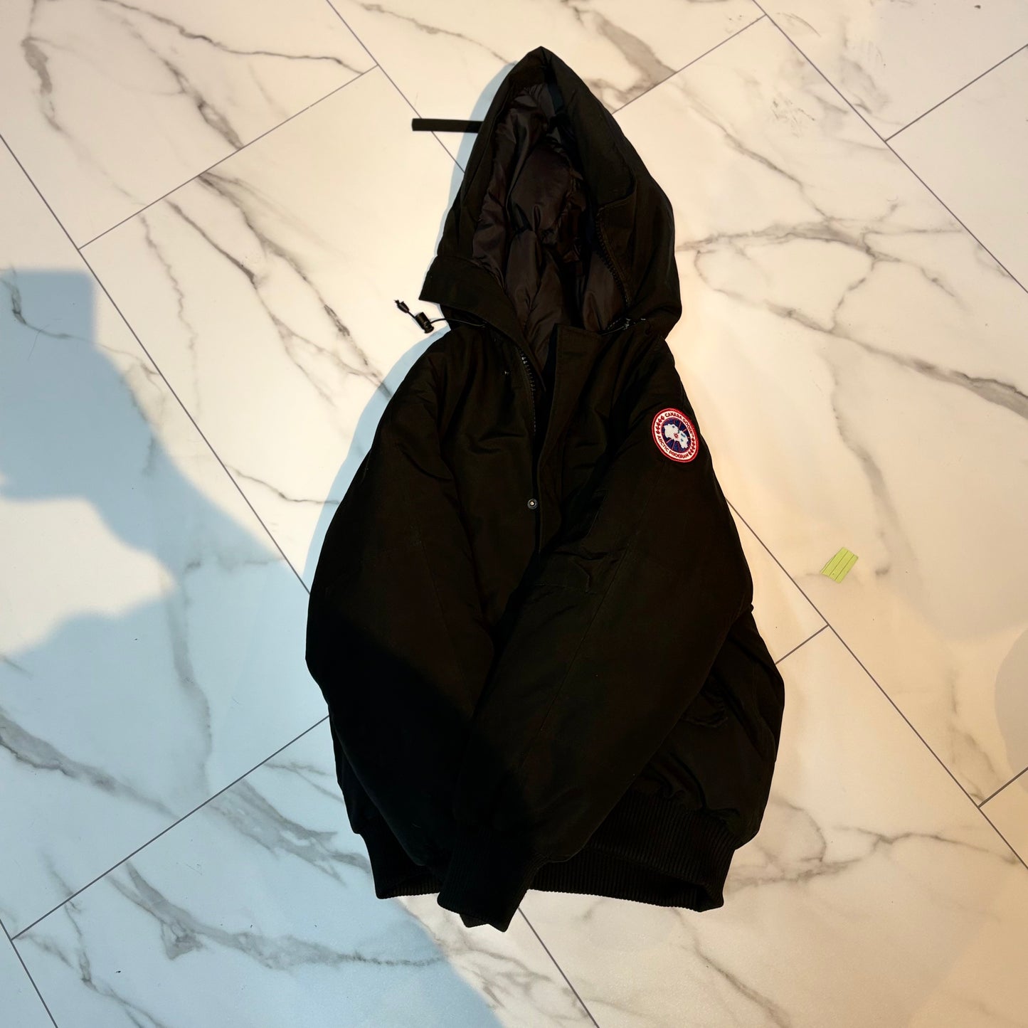 Preowned Canada goose
