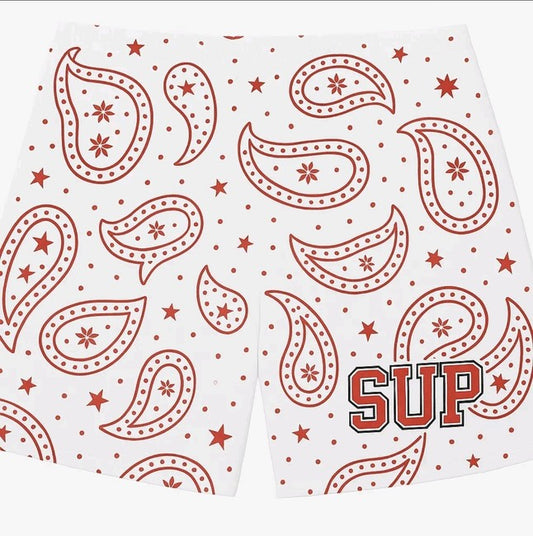 SUP Red Paisley Mesh Shorts