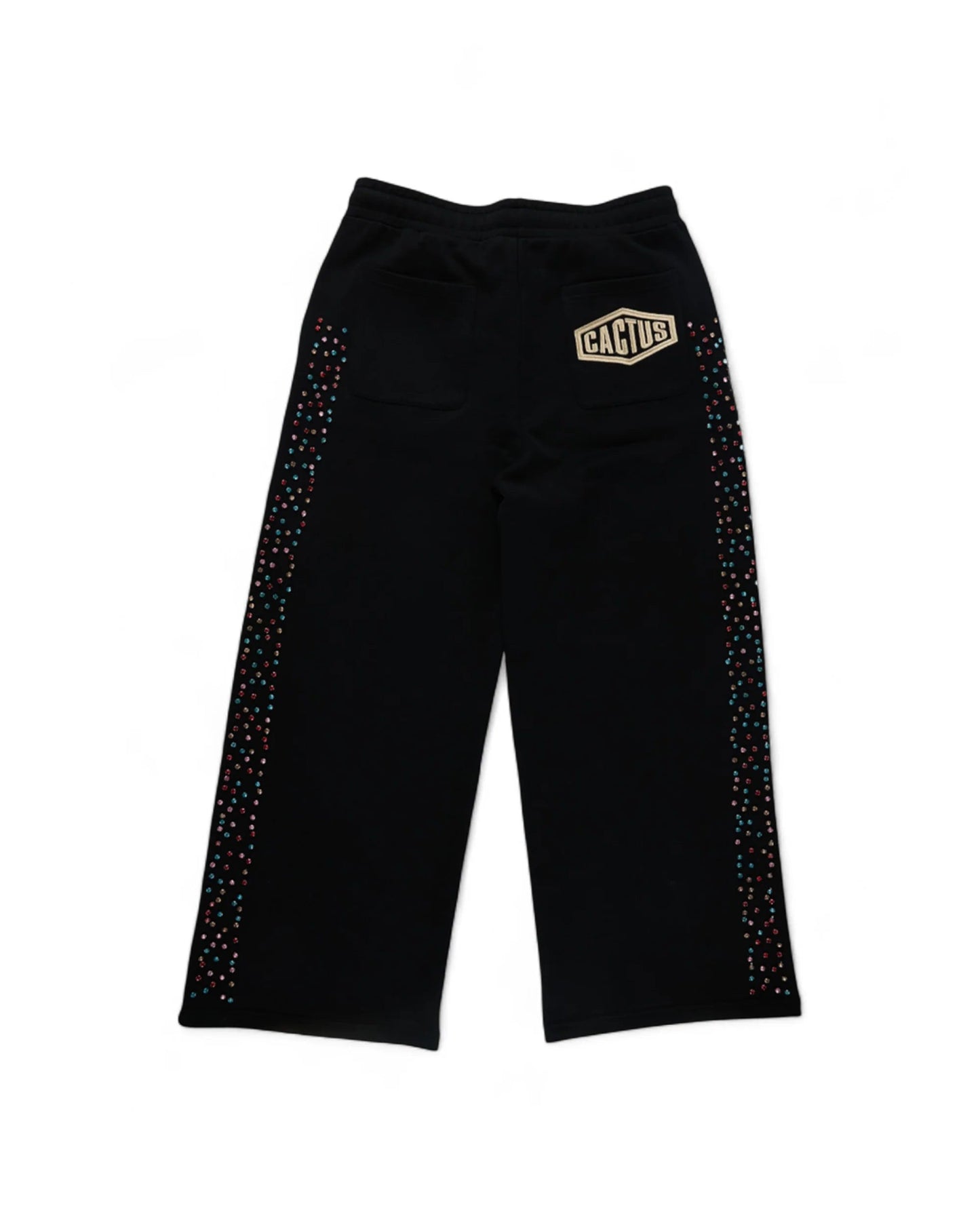 Cactus Crystal Black Sweatpants