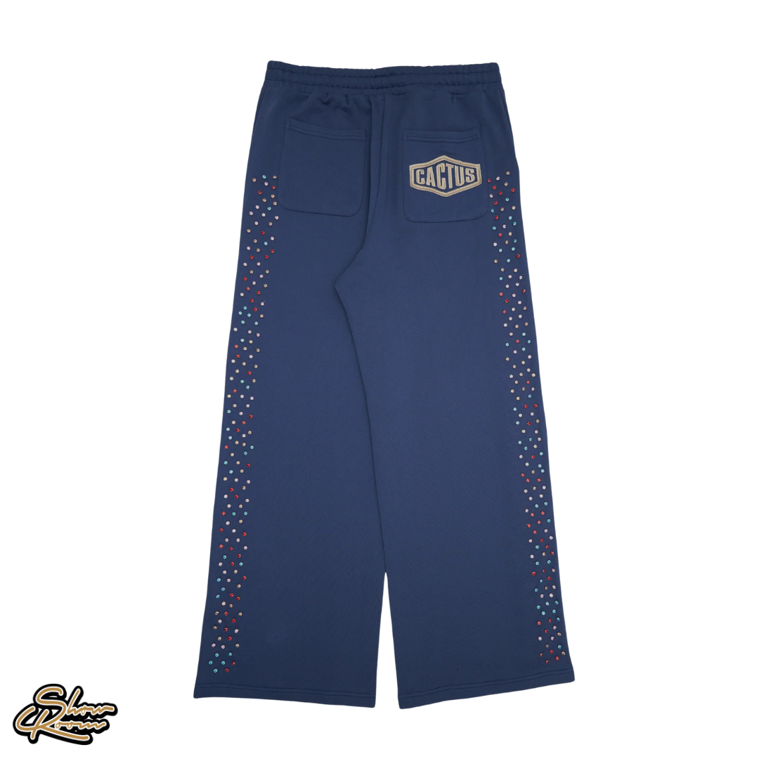 Cactus Blue Valley SweatPants