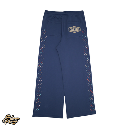 Cactus Blue Valley SweatPants