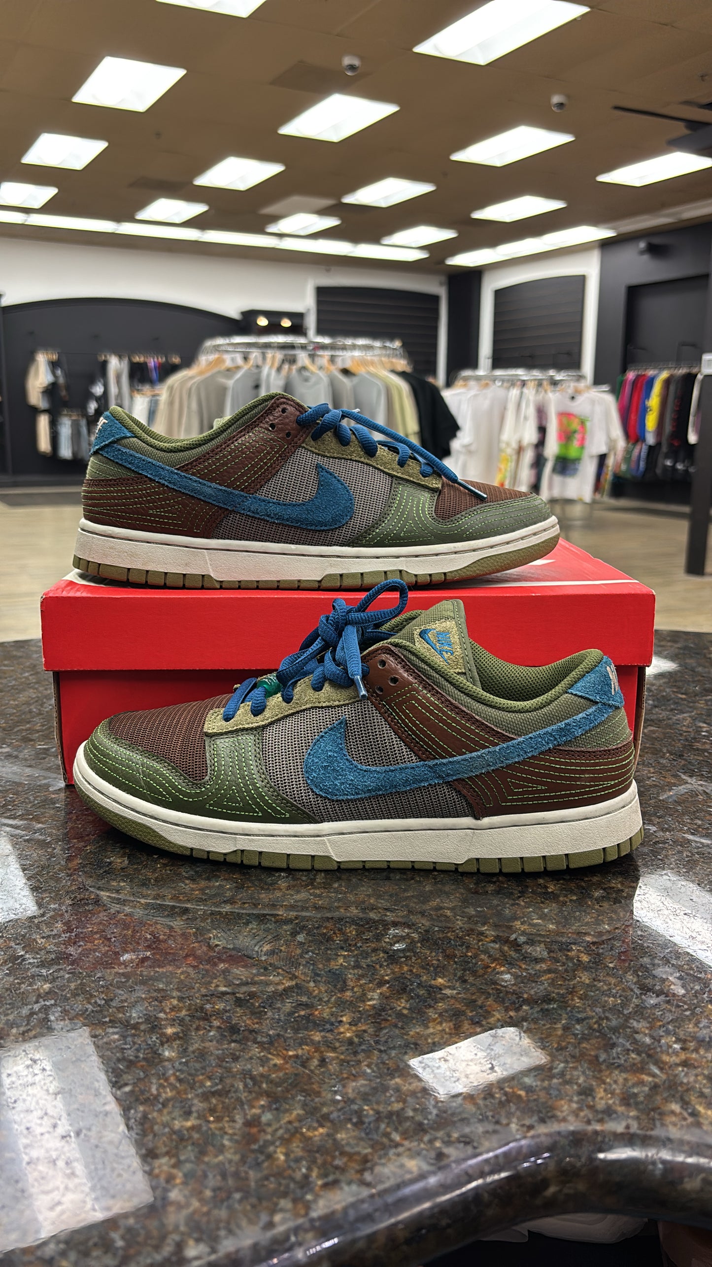 Nike Dunk Cacoa Wow USED WITH BOX