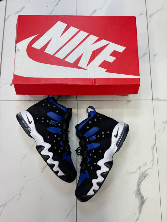 Nike Air Royal SB Used With Box